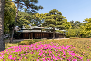 The Imperial Palace Gardens