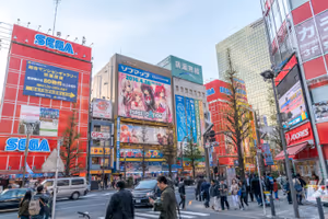 Walking around in the crazy Akihabara