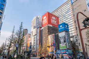 Walking around in the crazy Akihabara