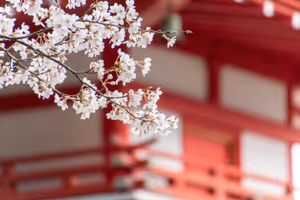 Chureito Pagoda