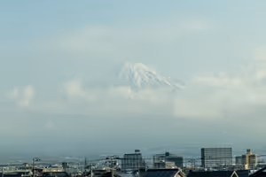 Mount Fuji from the train