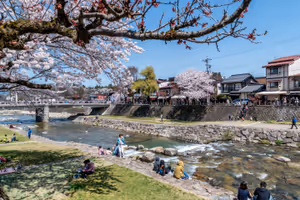 Takayama Spring Festival