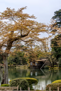 Kenrokuen Garden in Kanazawa
