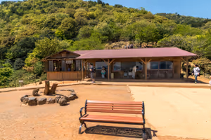 Taking a break from the temple hopping in the Iwatayama Monkey Park