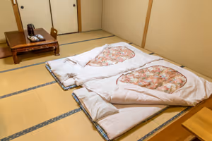 We spent one night at a ryokan in the Kyoto mountains