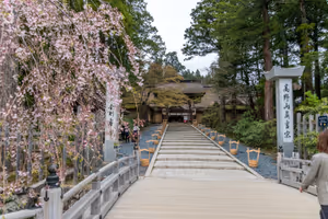 Koyasan - the mountain of the buddhist monks