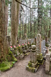Walking to Okunoin