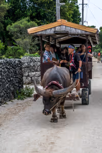 Taketomi Island