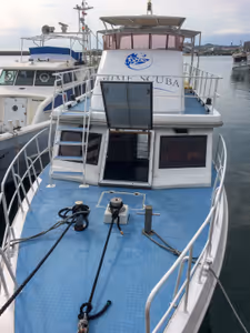 Scuba diving to see the giant manta rays
