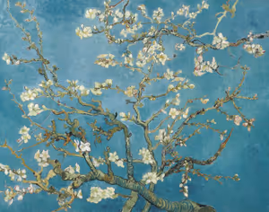 **Almond blossom (1890)**

Vincent van Gogh
[Source](https://www.rawpixel.com/image/3868942/illustration-image-flower-art-vincent-van-gogh)