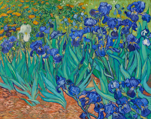 **Irises (1889)**

Vincent van Gogh
[Source](https://www.rawpixel.com/image/537382/free-illustration-image-van-gogh-impressionism)