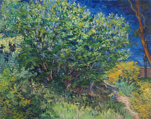 **Lilac Bush (1889)**

Vincent van Gogh
[Source](https://www.rawpixel.com/image/3868662/illustration-image-tree-art-vincent-van-gogh)