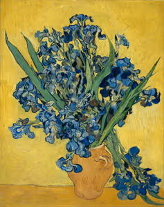 **Irises**

Vincent van Gogh 1890
[Source](https://www.rawpixel.com/image/20560981/vincent-van-goghs-irises-1890)