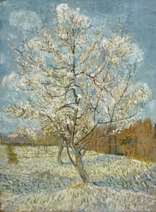 **The pink peach tree**

Vincent van Gogh 1888
[Source](https://www.rawpixel.com/image/20561301/vincent-van-goghs-the-pink-peach-tree-1888)