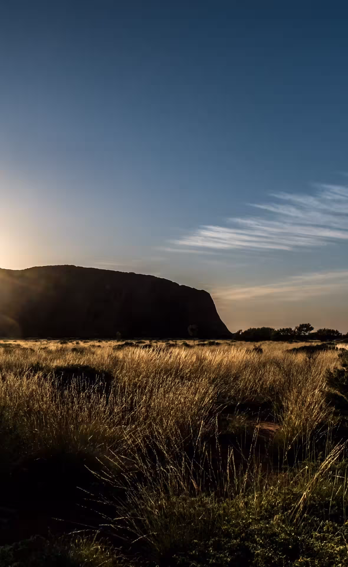 Beautiful photo gallery showcase